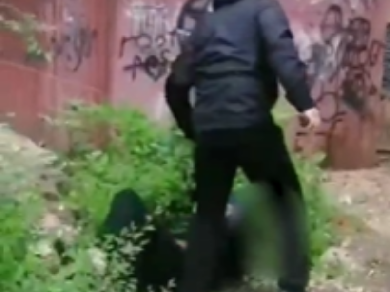 Полиция разбирается в избиении школьника 21-летним воронежцем Полиция разбирается в избиении школьника 21-летним воронежцем
