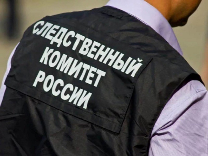 Избиением 13-летней школьницы в Воронеже занялись следователи Избиением 13-летней школьницы в Воронеже занялись следователи