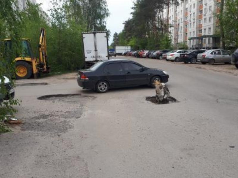 Минский пень научил дорожников чинить асфальт в Воронеже Минский пень научил дорожников чинить асфальт в Воронеже