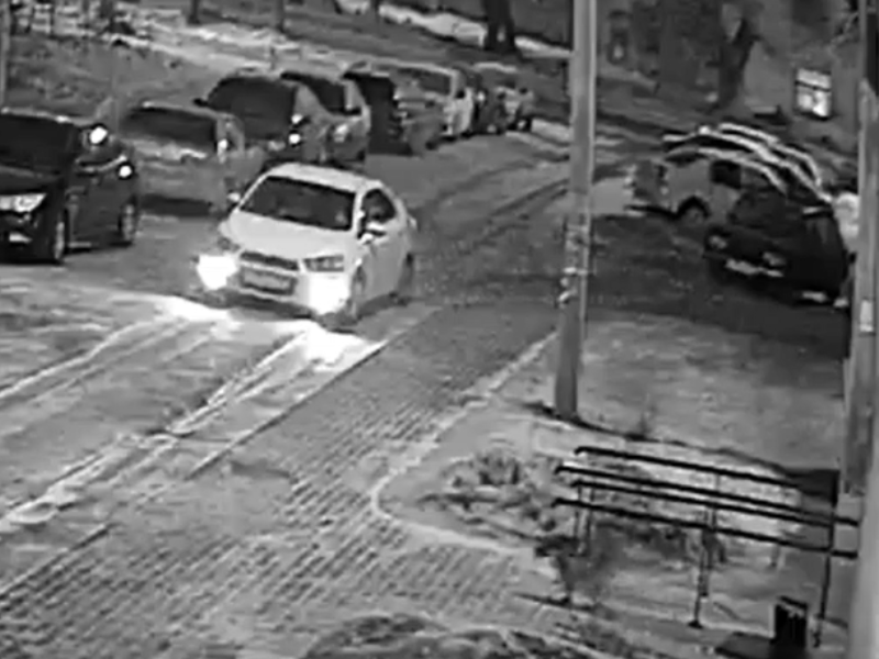 Убийство собаки на глазах у ребенка сняли в Воронеже Убийство собаки на глазах у ребенка сняли в Воронеже