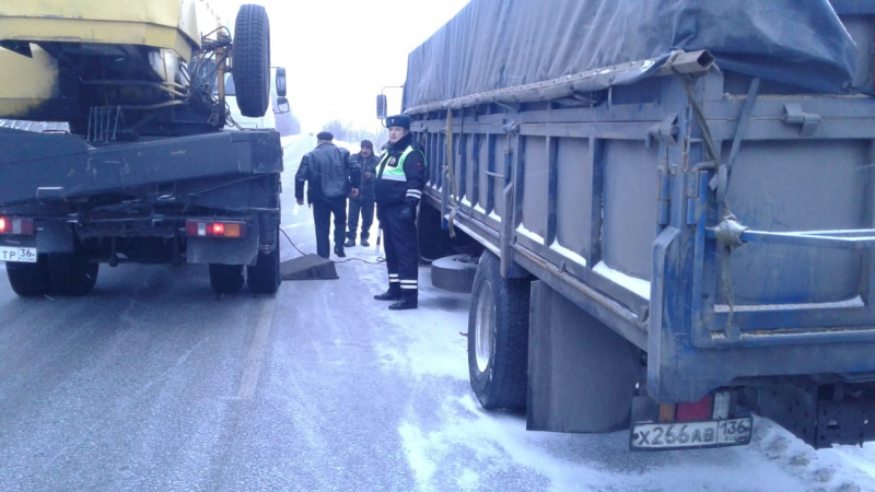 Под Воронежем селянина спасли от морозной смерти Под Воронежем селянина спасли от морозной смерти