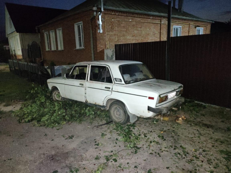 Столкновение с деревом травмировало пьяного водителя в Воронежской области Столкновение с деревом травмировало пьяного водителя в Воронежской области