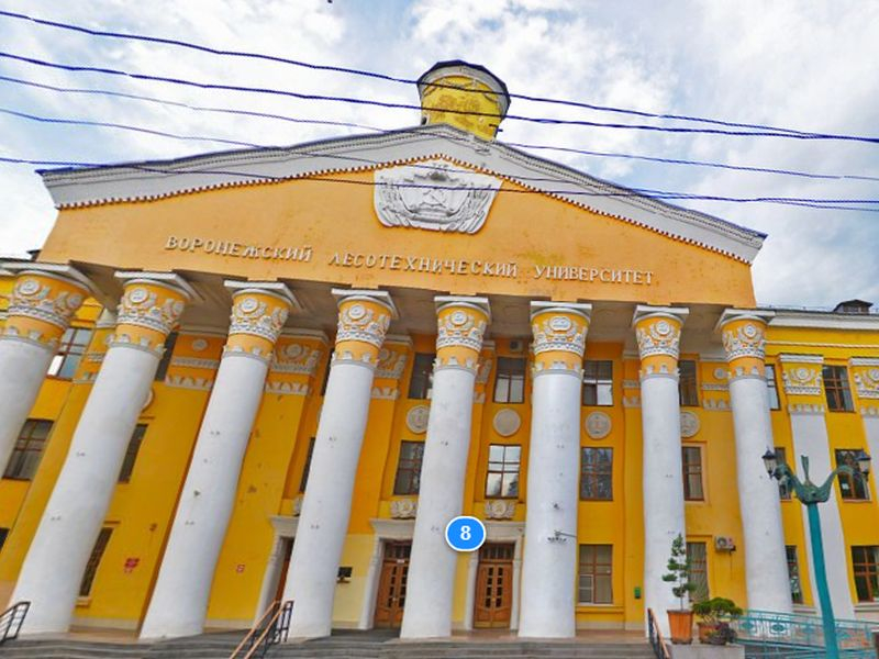 За трещину на колонне Воронежского лестеха липецкая фирма заплатит 100 тыс рублей За трещину на колонне Воронежского лестеха липецкая фирма заплатит 100 тыс рублей