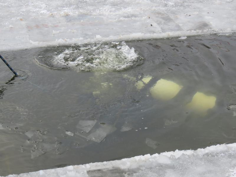 Водолазы займутся поиском пропавшего ребенка в Воронежской области Водолазы займутся поиском пропавшего ребенка в Воронежской области