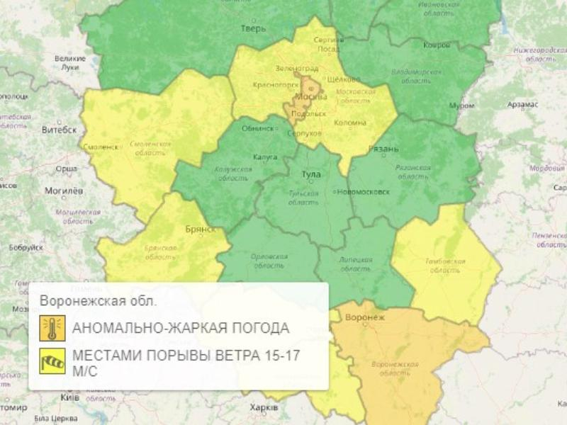 Оранжевый уровень опасности объявили из-за аномальной жары в Воронеже Оранжевый уровень опасности объявили из-за аномальной жары в Воронеже