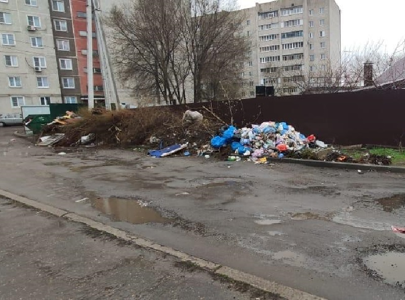 Помойный холм с расплодившимися мухами держит воронежцев в заложниках Помойный холм с расплодившимися мухами держит воронежцев в заложниках