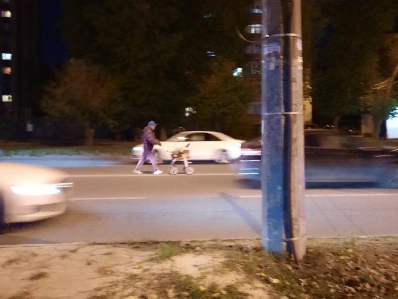 Вояж с коляской по проезжей части сняли на фото в Воронеже Вояж с коляской по проезжей части сняли на фото в Воронеже