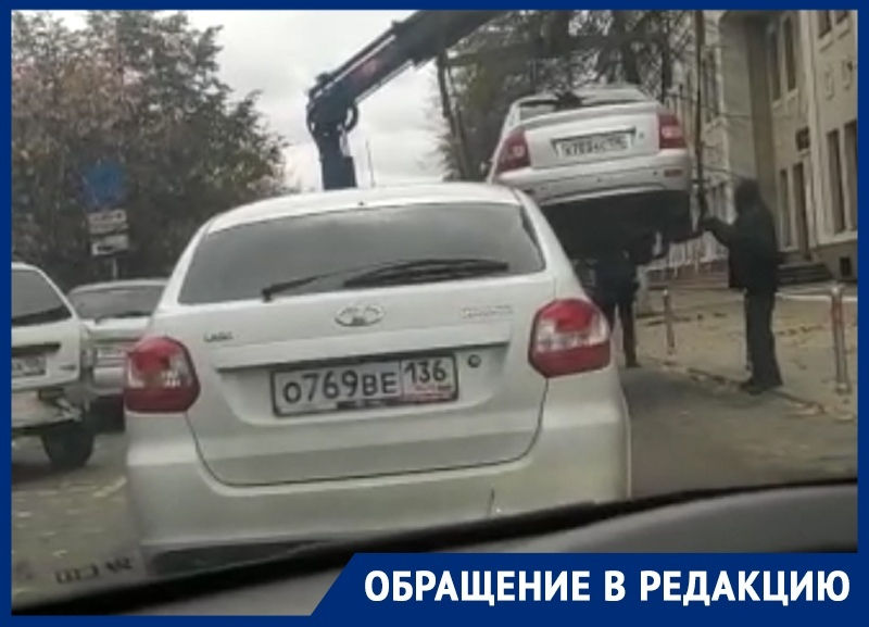 Главный царь дороги обнаружен водителем в Воронеже Главный царь дороги обнаружен водителем в Воронеже
