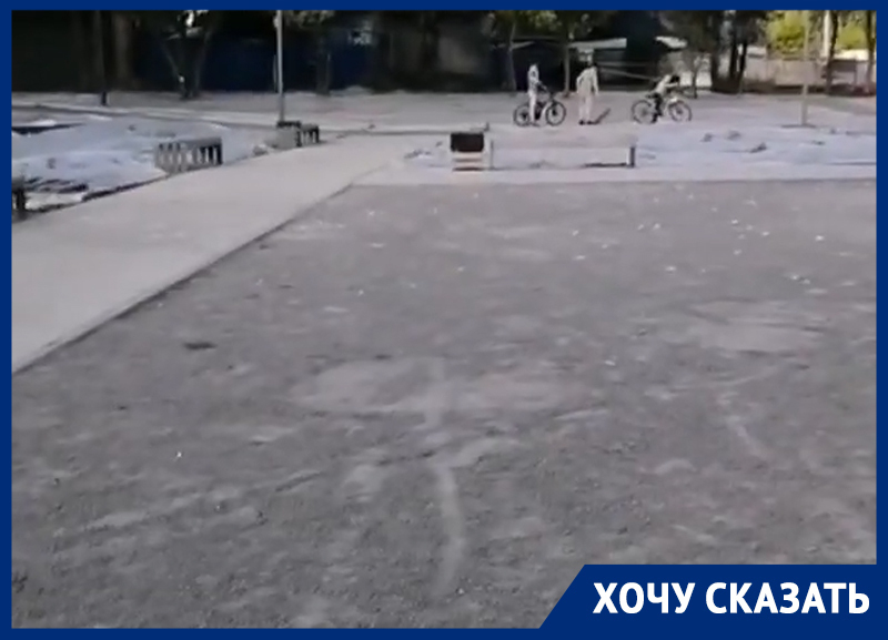 Новые клумбы неожиданно ударили по спорту в Воронеже Новые клумбы неожиданно ударили по спорту в Воронеже