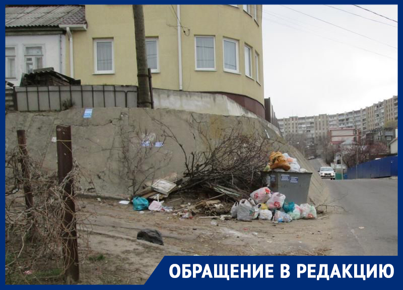 Воронежцы указали на перманентный источник инфекции в центре города Воронежцы указали на перманентный источник инфекции в центре города