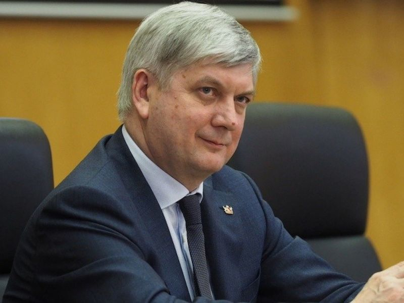 Александр Гусев назвал будущий бренд Воронежской области Александр Гусев назвал будущий бренд Воронежской области