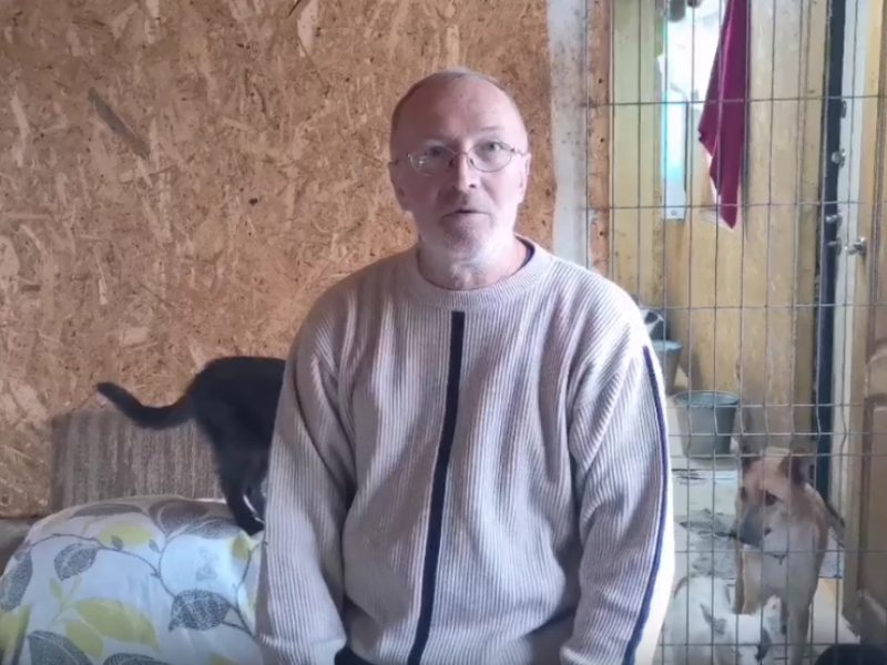 Зоозащитник сделал предположение, кто мог массово убить собак в воронежском приюте Зоозащитник сделал предположение, кто мог массово убить собак в воронежском приюте
