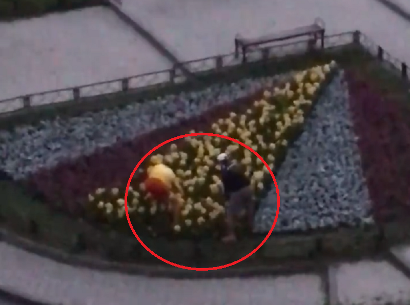 Позорное поведение романтиков у ЗАГСа сняли на видео в Воронеже Позорное поведение романтиков у ЗАГСа сняли на видео в Воронеже