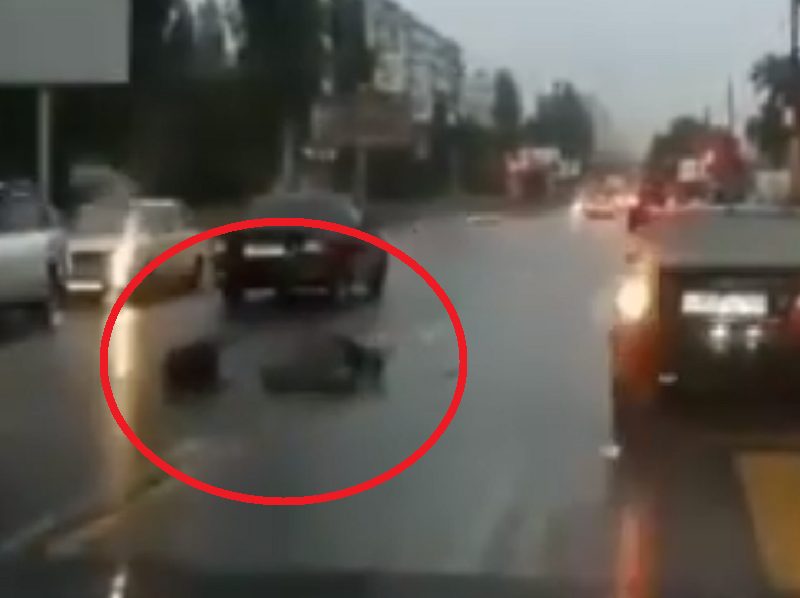 «Приора» сбила мужчину на переходе и попала на видео в Воронеже «Приора» сбила мужчину на переходе и попала на видео в Воронеже