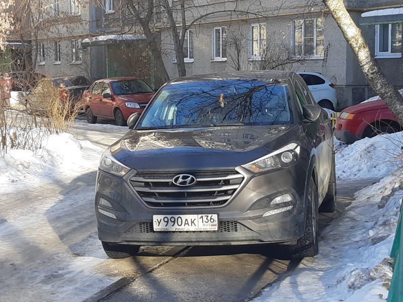 Мастер парковки осложнил воронежцам прощание с елками Мастер парковки осложнил воронежцам прощание с елками