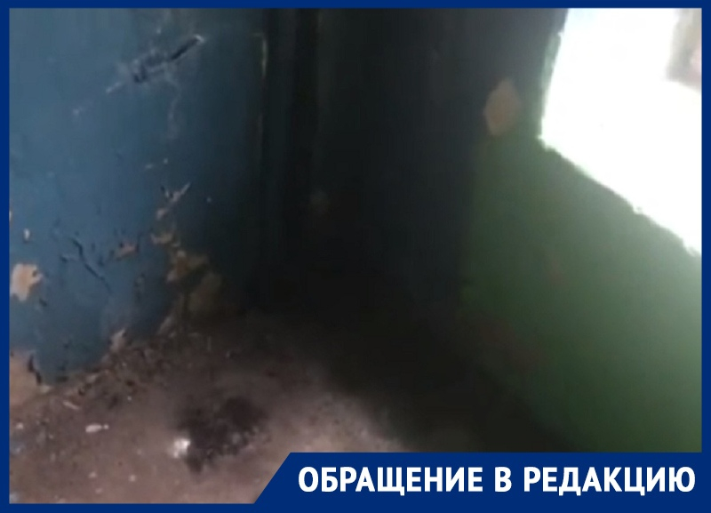 Мощный ливень насквозь пропитал подъезд дома в центре Воронежа Мощный ливень насквозь пропитал подъезд дома в центре Воронежа