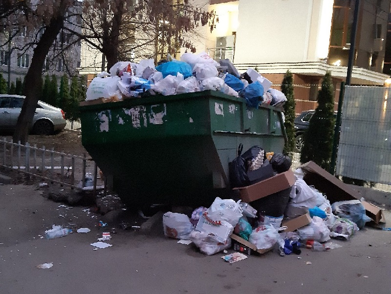 Тошнотворный новогодний подарок тлеет под окнами воронежской многоэтажки Тошнотворный новогодний подарок тлеет под окнами воронежской многоэтажки