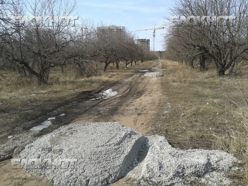 Воронежская прокуратура хочет вернуть второй участок в Яблоневом саду Воронежская прокуратура хочет вернуть второй участок в Яблоневом саду