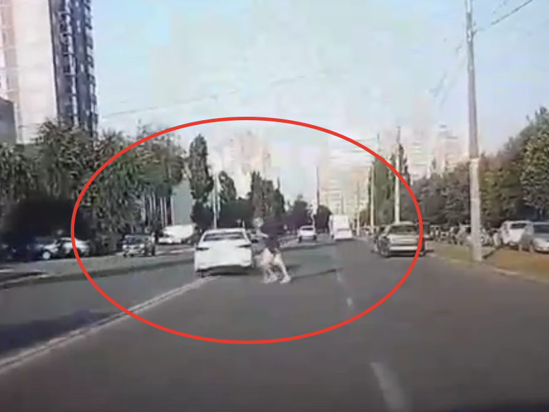 Как не надо переходить дорогу, наглядно показали в Воронеже Как не надо переходить дорогу, наглядно показали в Воронеже