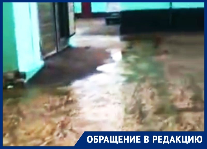Неистовый поток фекалий из многоэтажки затопил воронежские дворы Неистовый поток фекалий из многоэтажки затопил воронежские дворы