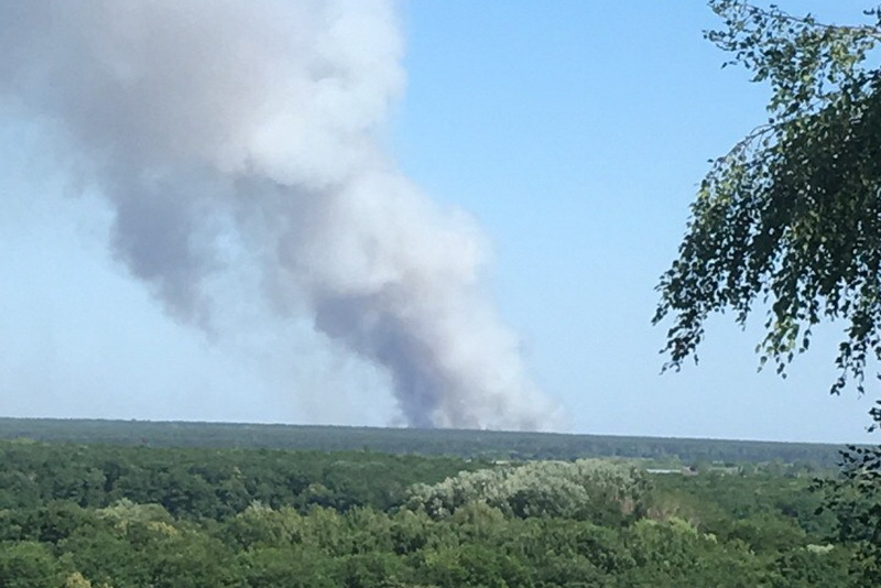 Аномальная жара привела к возгоранию леса под Воронежем Аномальная жара привела к возгоранию леса под Воронежем