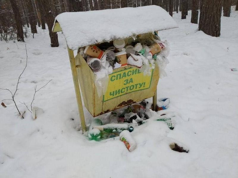 Благодарность за чистоту смешали с помойкой в Воронеже Благодарность за чистоту смешали с помойкой в Воронеже