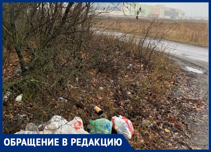 Лес-свалку около сити-парка «Град» запечатлели на фото воронежцы Лес-свалку около сити-парка «Град» запечатлели на фото воронежцы