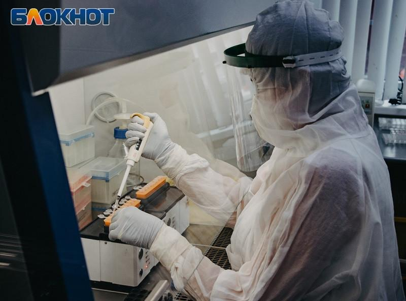 До 179 человек за 24 часа выросло число суточных заражений Covid-19 в Воронежской области До 179 человек за 24 часа выросло число суточных заражений Covid-19 в Воронежской области