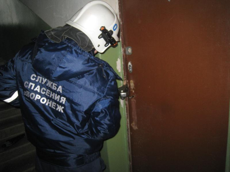 Чуткий нос спас жителей Воронежа от страшной трагедии Чуткий нос спас жителей Воронежа от страшной трагедии