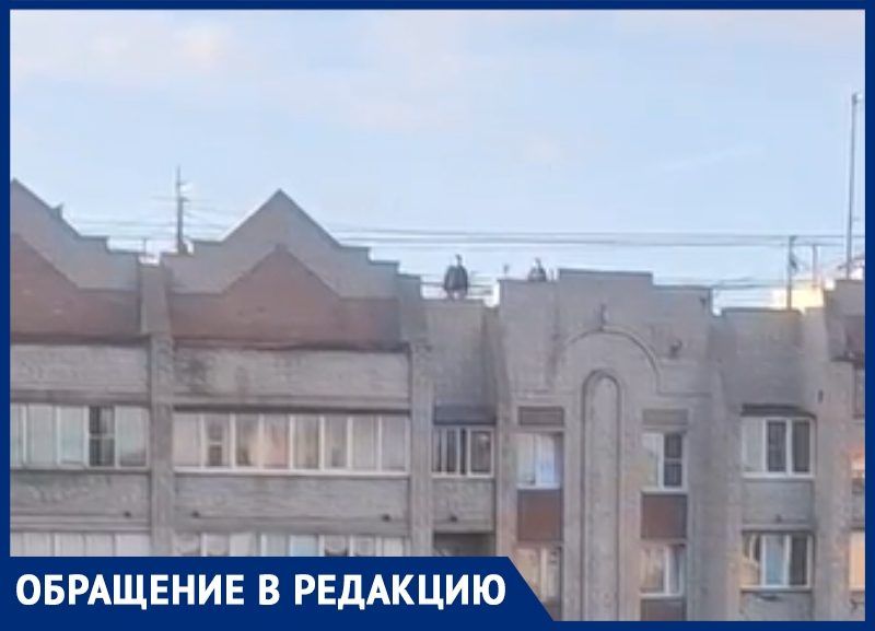 «Сердце ушло в пятки»: детская шалость испугала соседей в Воронеже «Сердце ушло в пятки»: детская шалость испугала соседей в Воронеже