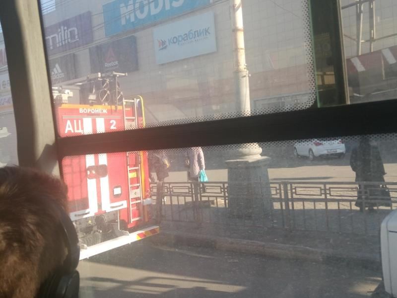 Посетителей популярного ТЦ эвакуировали в Воронеже Посетителей популярного ТЦ эвакуировали в Воронеже