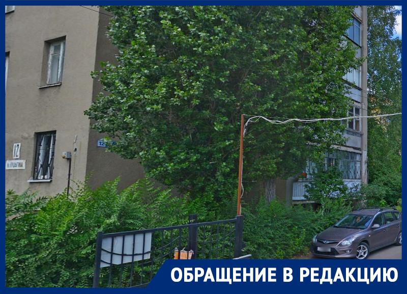 «Ни губернатор, ни прокуратура, ни УК, ни ГЖИ – никто не может нам помочь»: воронежский инвалид о фекальной запруде «Ни губернатор, ни прокуратура, ни УК, ни ГЖИ – никто не может нам помочь»: воронежский инвалид о фекальной запруде