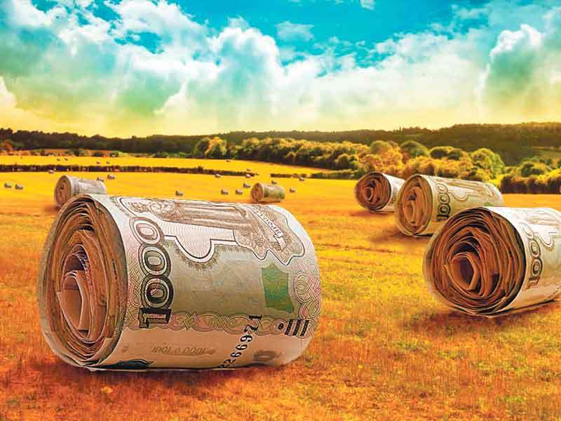 Инвестиции в воронежский агробизнес за этот год оценили в 30 млрд рублей Инвестиции в воронежский агробизнес за этот год оценили в 30 млрд рублей