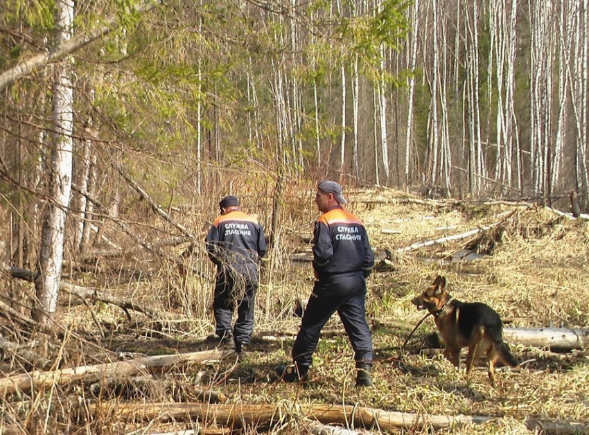 В Россошанском районе Воронежской области пропал 81-летний пенсионер В Россошанском районе Воронежской области пропал 81-летний пенсионер