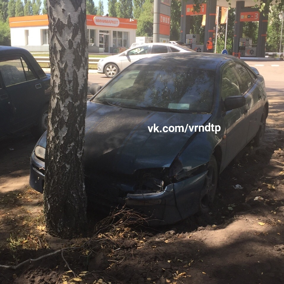 Жительница Воронежа запечатлела авто, спешащее припарковаться в дерево Жительница Воронежа запечатлела авто, спешащее припарковаться в дерево