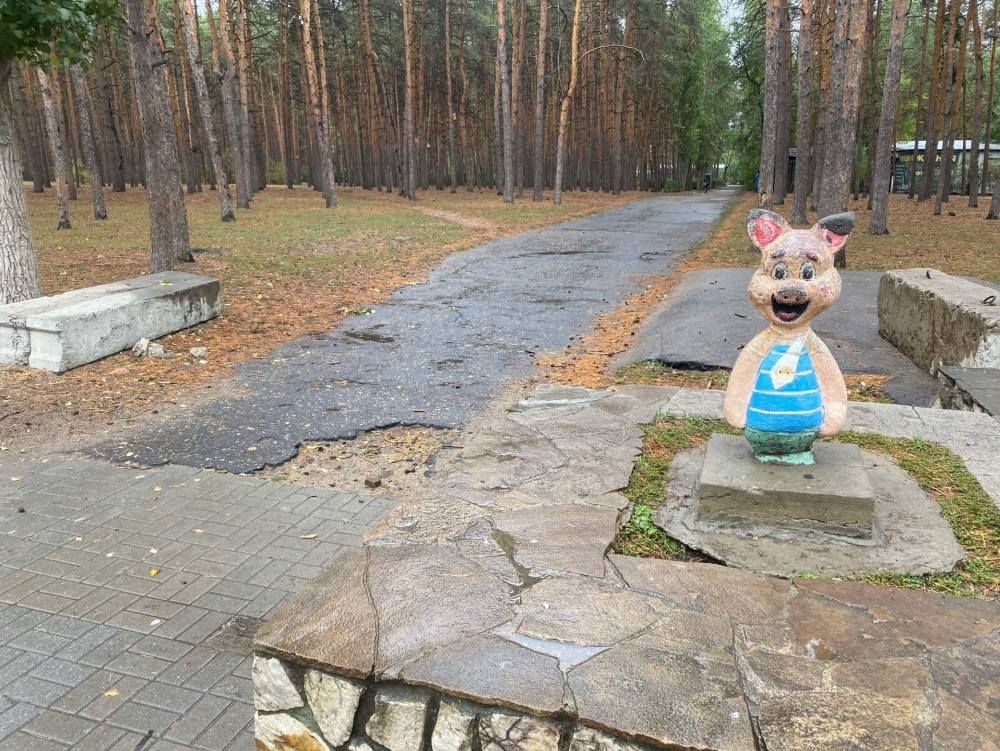 Концепцию обновления парка «Танаис» представили в мэрии Воронежа