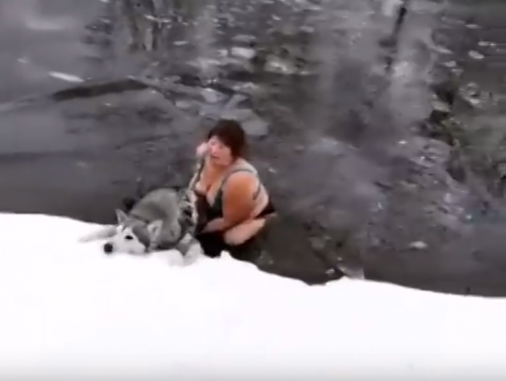 Оказавшись в ледяной воде. В Россоши женщина спасла собаку. Спасение собаки из воды. Спасение собаки из ледяного плена. Мужчина спас собаку из ледяной воды.