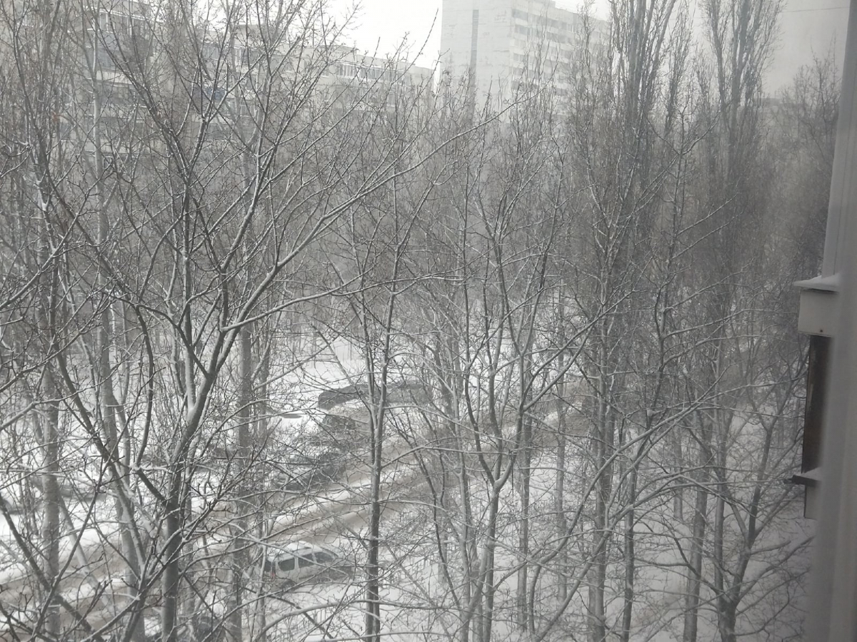 Спи пока снег. Воронеж завалило снегом.