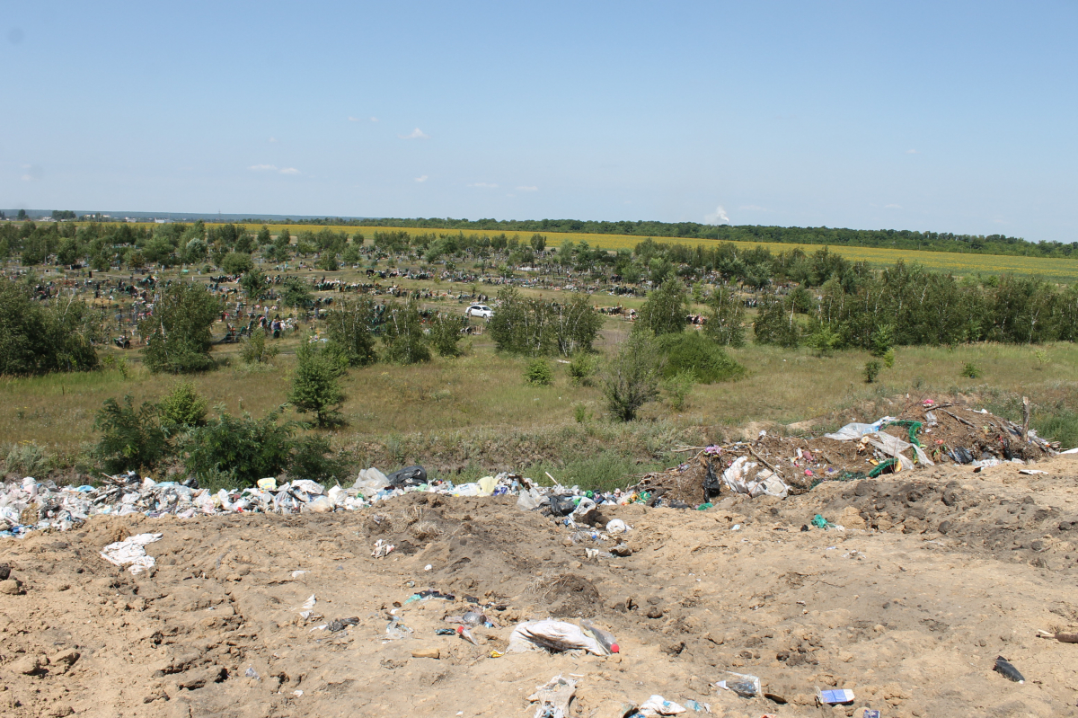 Экология воронежской области проект