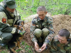 Останки воронежского фронтовика с медалью «За отвагу» нашли в Калининградской области