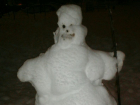 Воронежцы запечатлели снеговика после распития «Боярышника»