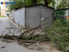 Желтый уровень погодной опасности зафиксировали в Воронежской области 