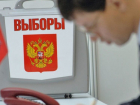В Воронежской области начали работу горячие линии по нарушениям на выборах президента