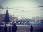 В Воронеже закончили установку скандально известной елки за 7 миллионов рублей 