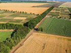 Земельные доли - «яблоко раздора» оборота земель сельскохозяйственного назначения