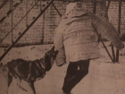 Неоценимую помощь оказывали собаки воронежской милиции в «лихие 90-е»