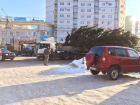 В Воронеже огромная елка оборвала провода в Северном микрорайоне