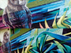 Потрясающее граффити совы появилось в Воронеже
