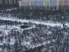 Уничтожение яблоневого сада в Северном микрорайоне сняли на видео в Воронеже