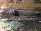 В обрушении балкона в Воронеже нашли частичную вину коммунальщиков